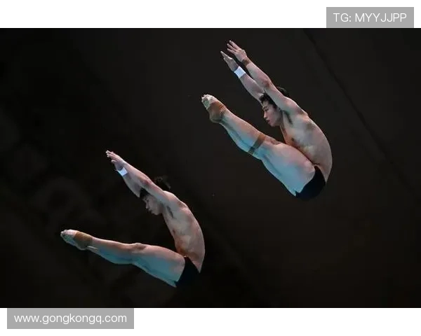 跳水运动的魅力与挑战：探索技巧、训练与赛事背后的精神与文化