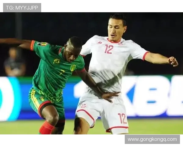 加纳与突尼斯历史交锋记录分析及比分回顾